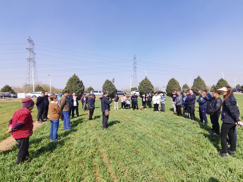 北京：監(jiān)測會診把脈 科學(xué)服務(wù)小麥春管