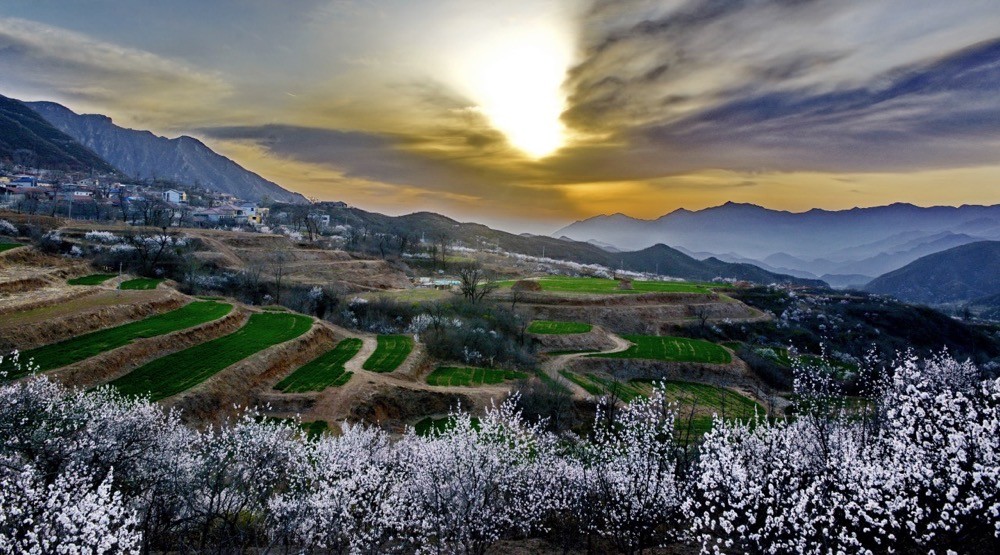 谷雨丨一“谷”作氣喜迎夏+雨潤萬物美如初