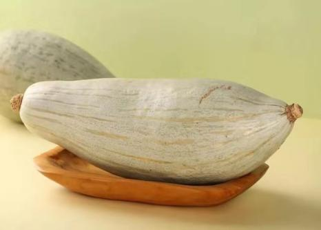 栗味南瓜惹人愛 春季育苗需注意