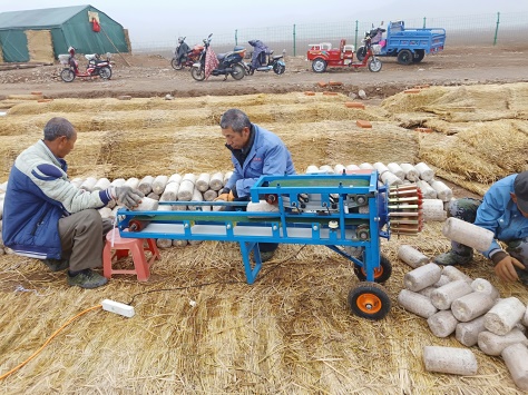  北京市農(nóng)業(yè)專(zhuān)家提示黑木耳菌棒開(kāi)口技術(shù)要點(diǎn)