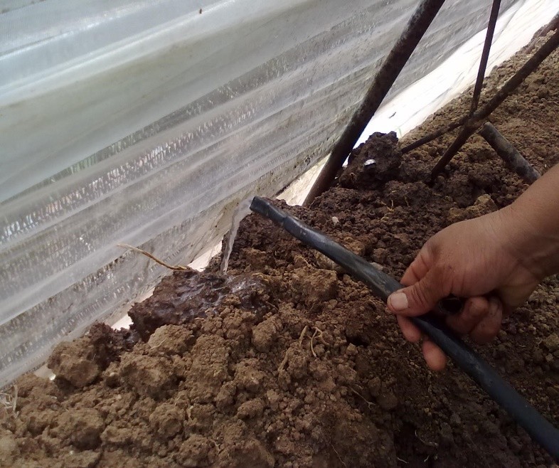 溫室滴灌設(shè)施 用心維護(hù)才能長(zhǎng)久效力