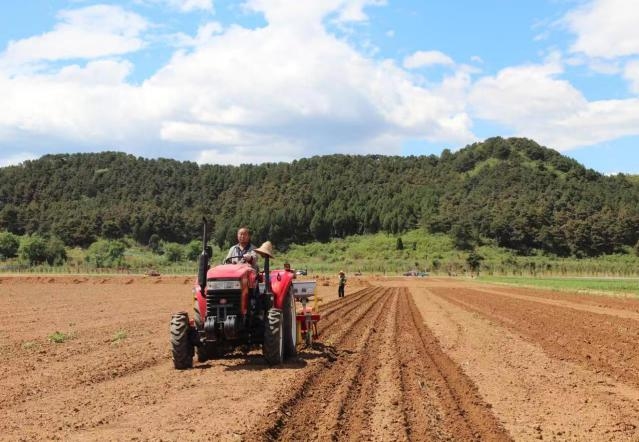 雜糧作物春播正當(dāng)時(shí)