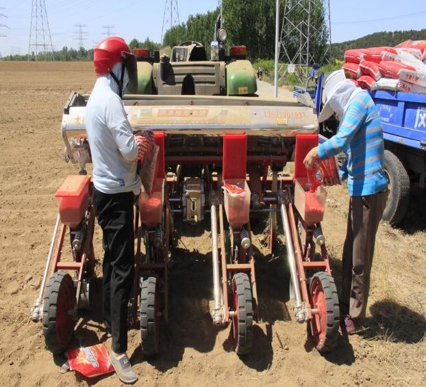 北京平谷區(qū)念好“早”字經(jīng)  護航“三夏”保豐收