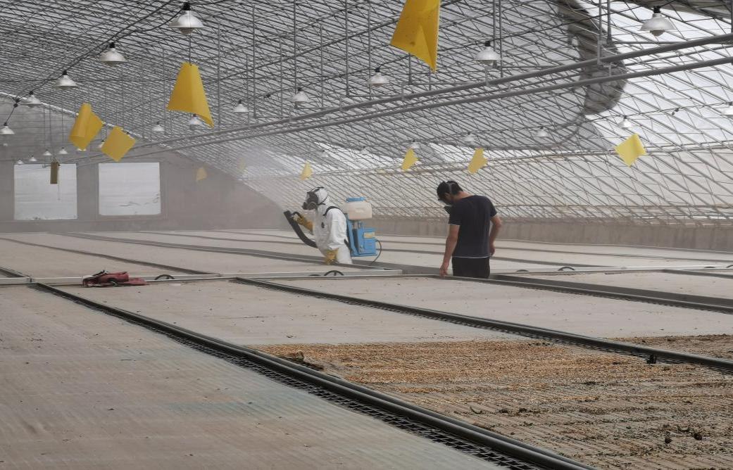 夏季育苗早準(zhǔn)備 棚室消毒正當(dāng)時(shí)