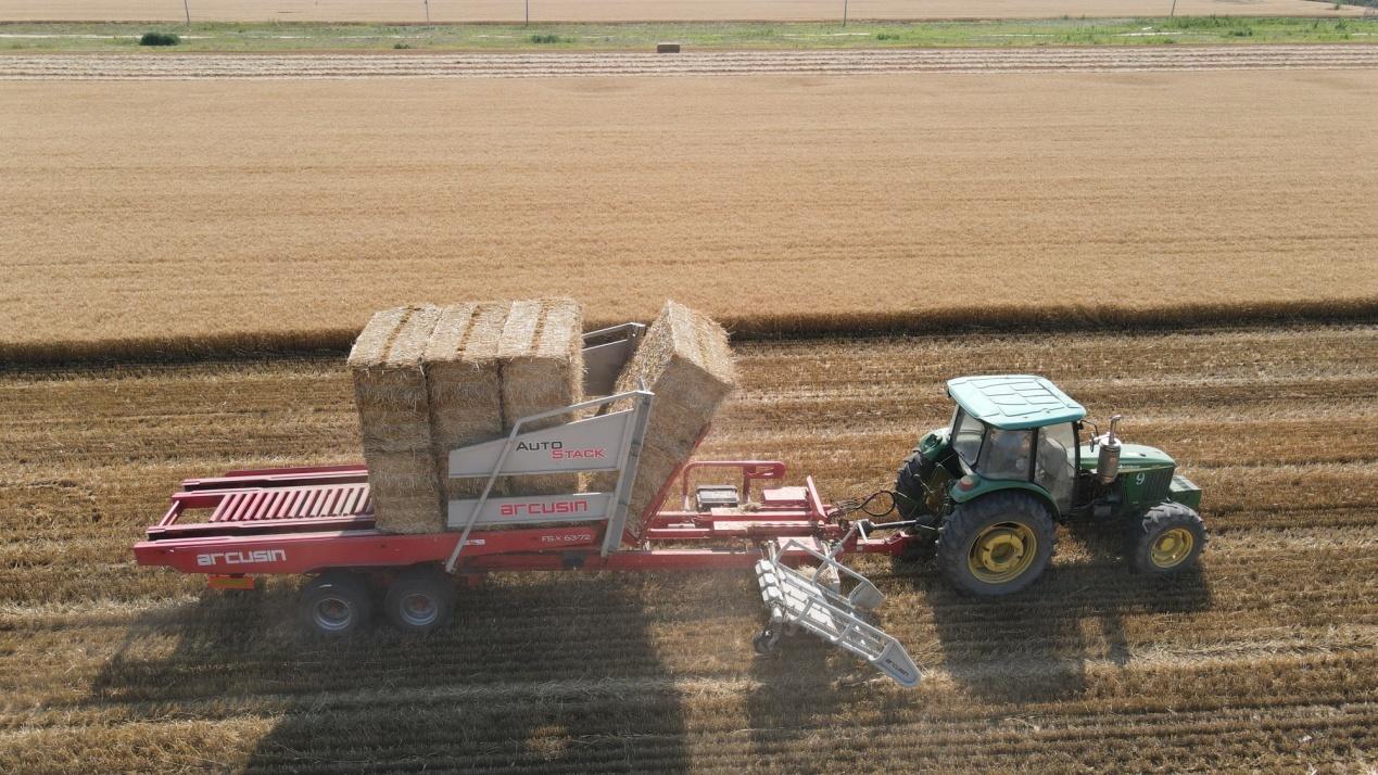 北京20余萬畝小麥即將收獲 秸稈利用率穩(wěn)定在99%以上