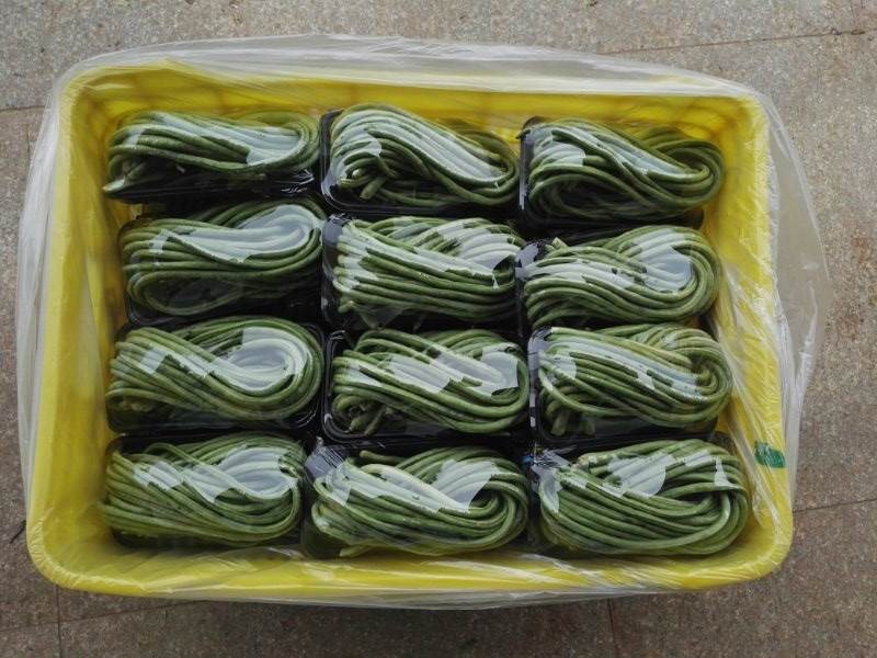 夏季豇豆受熱捧 專家支招省工又高產(chǎn)