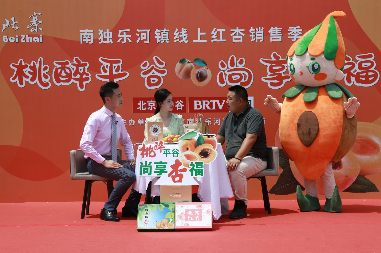 南獨(dú)樂(lè)河鎮(zhèn)第八屆休閑文化節(jié)暨線上紅杏銷(xiāo)售季在北寨村舉行