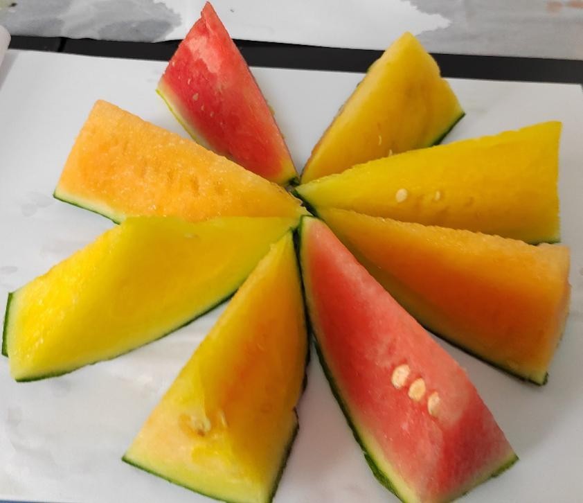 北京昌平區(qū)首批炫彩小西瓜“甜蜜”上市