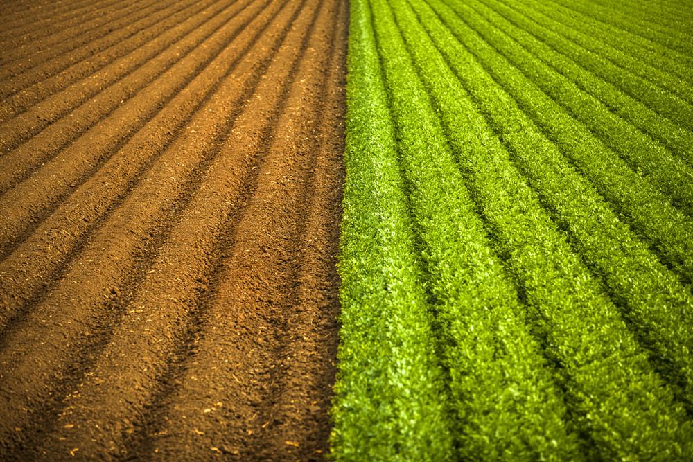 北京市部署開展第三次全國土壤普查試點工作