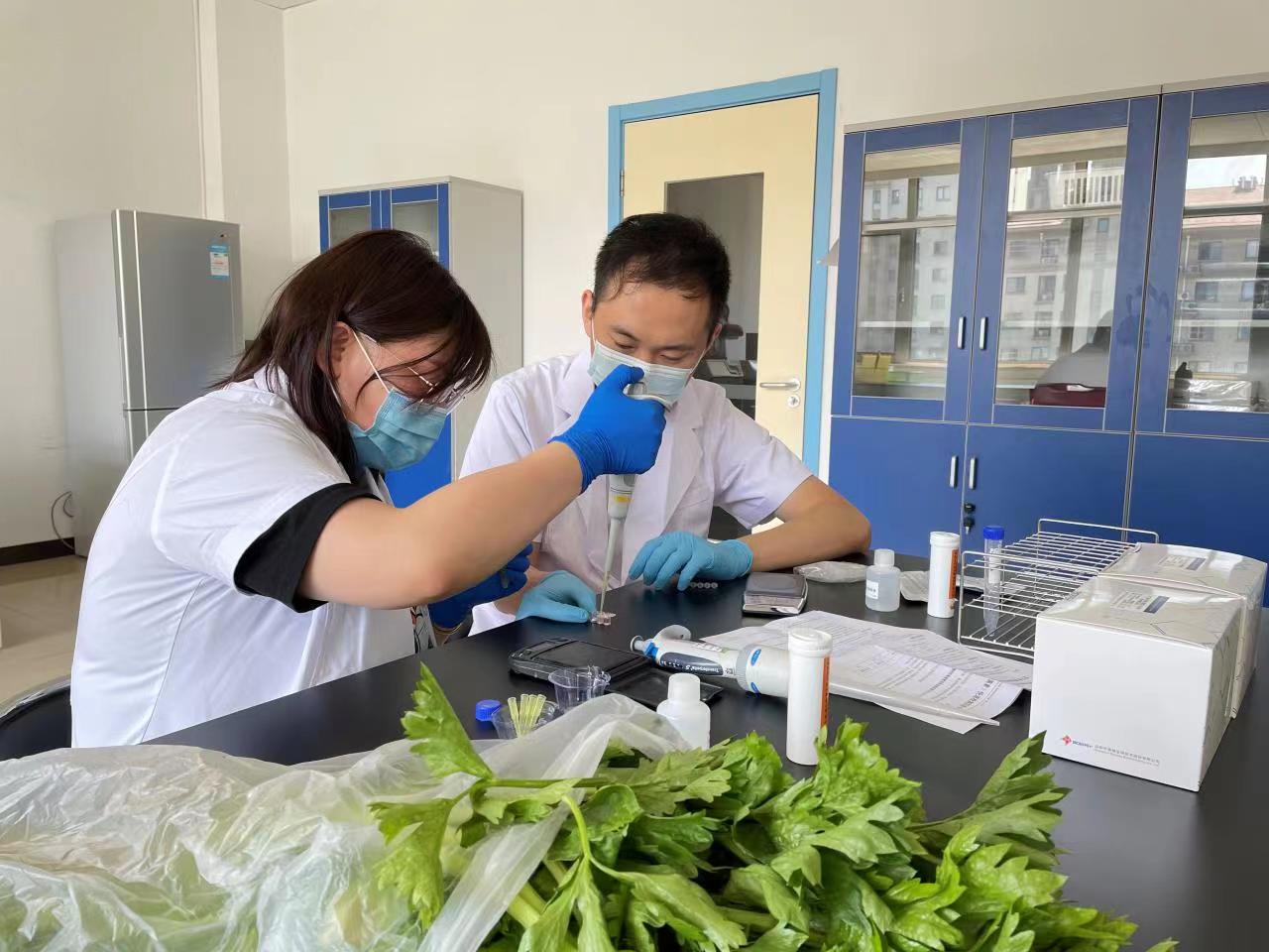 ?推廣應用快速檢測技術 確?！白畛跻还铩鞭r產品質量安全