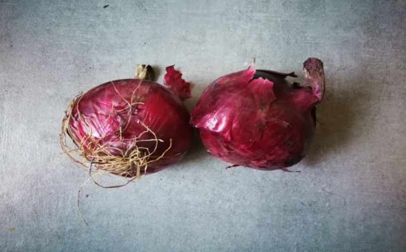 夏收洋蔥采后 請這樣管理