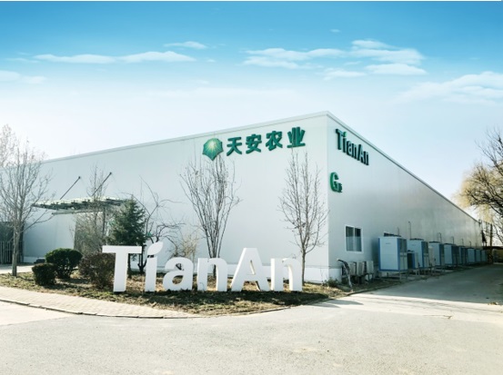 “以食為天、以安為先”蔬菜全產業(yè)鏈的先行者