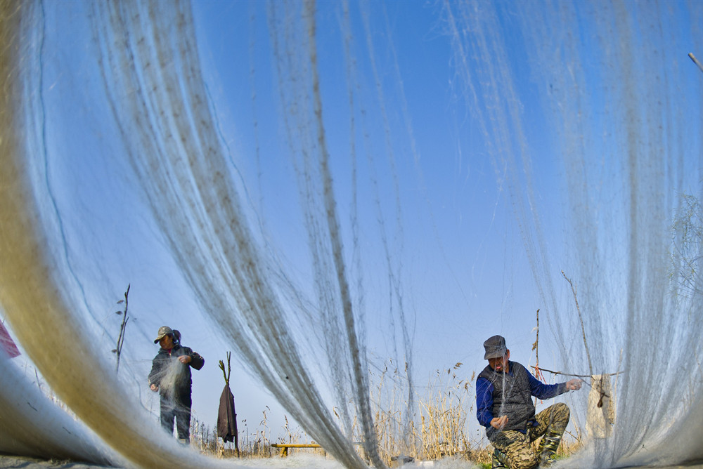 科技領航現代漁業(yè) 打造漁業(yè)數據樞紐