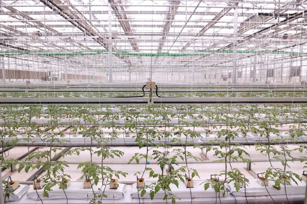 智慧農業(yè)助力北京鄉(xiāng)村振興