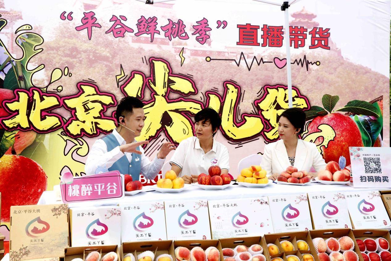 北京平谷區(qū)劉家店鎮(zhèn)：“云上服務”利百姓 “電商+大桃”致富經