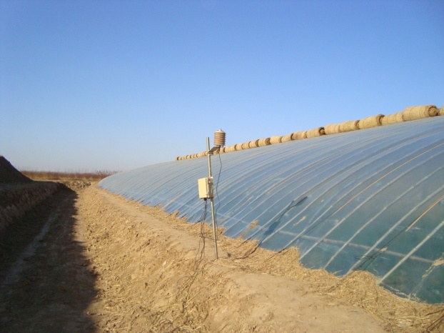 北京地區(qū)日光溫室黃瓜越冬茬生產(chǎn) 做好這幾點(diǎn) 高產(chǎn)又高效