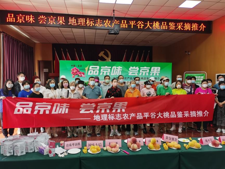 地理標(biāo)志農(nóng)產(chǎn)品平谷大桃品鑒采摘推介活動(dòng)在京舉辦