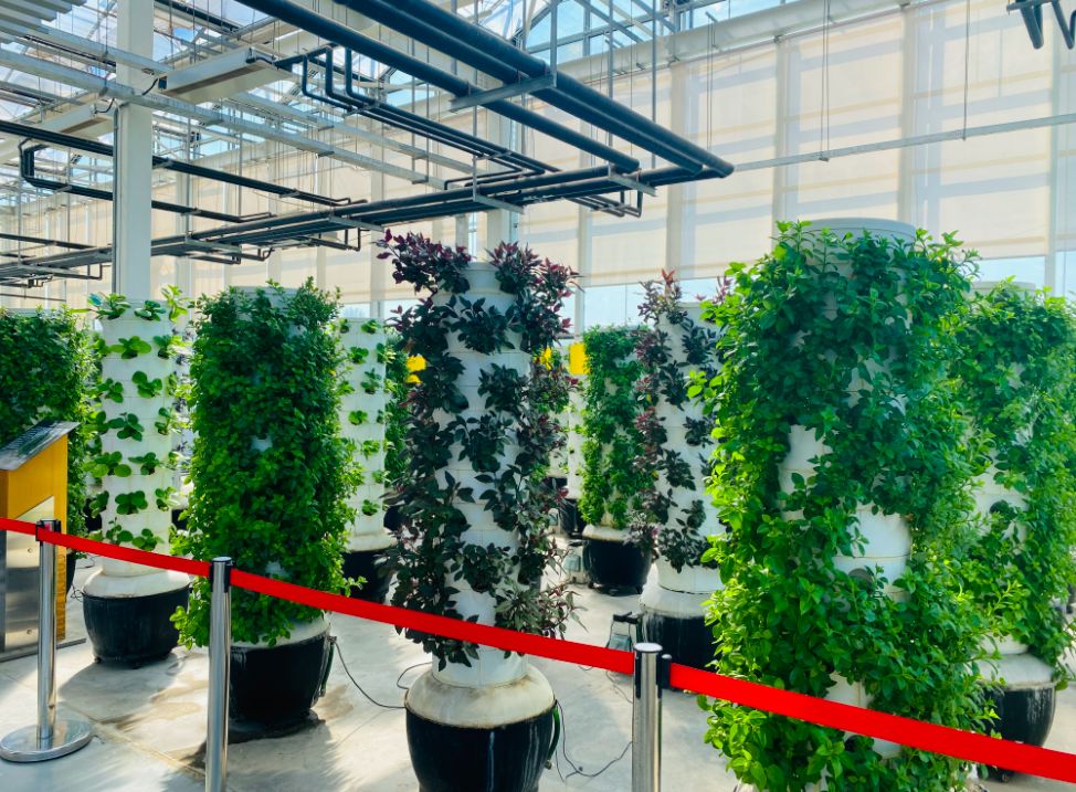 暢游智慧農(nóng)場(chǎng) 體驗(yàn)智慧農(nóng)業(yè)