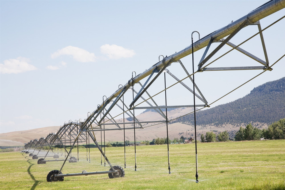 秋冬季農(nóng)業(yè)設(shè)施安全防范技術(shù)指導(dǎo)意見(jiàn)