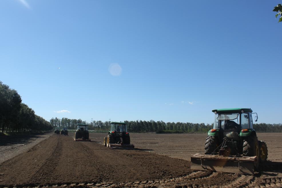 北京市農(nóng)業(yè)技術(shù)推廣站強(qiáng)化六項(xiàng)舉措 降低小麥晚播影響   