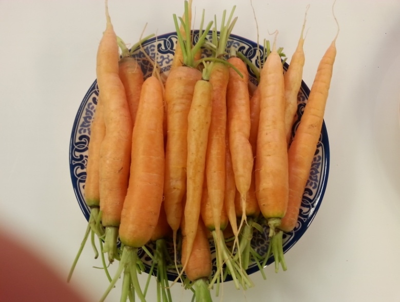 秋收胡蘿卜如何保質(zhì)又保鮮