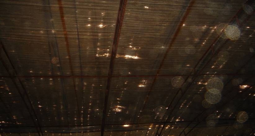 應(yīng)對(duì)大風(fēng)寒潮 北京市農(nóng)業(yè)農(nóng)村局發(fā)布最新提示