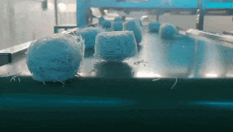 “京一根”——無明礬粉條的開拓者