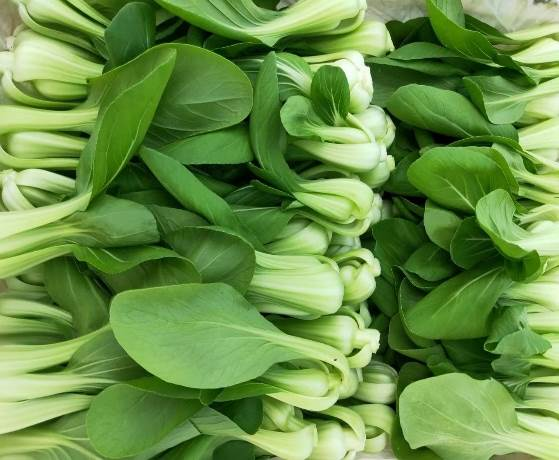 節(jié)氣探農(nóng)事|谷雨前后 油菜高產(chǎn)注意保鮮