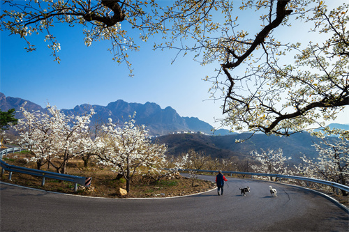 24節(jié)氣京郊之美 谷雨丨雨生百谷萬(wàn)物新 以春為始向未來(lái)