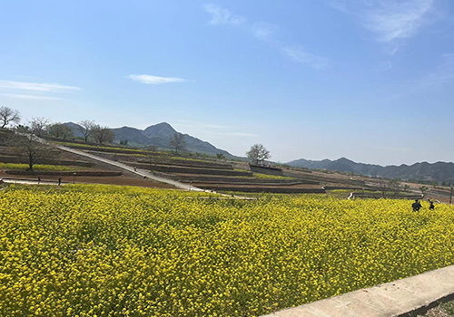 城鄉(xiāng)互融、月月有景——第十三屆北京農(nóng)田觀光季開(kāi)季