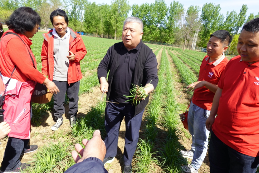 1713331639660143.png image.png