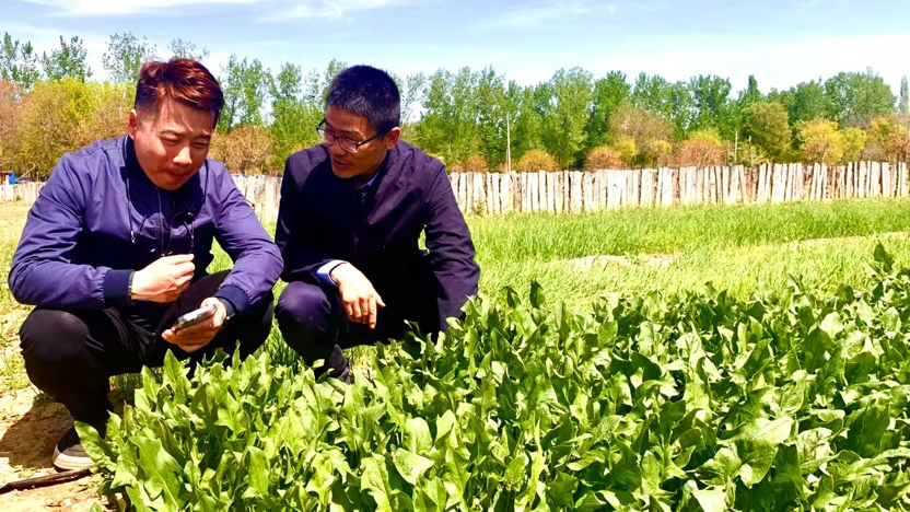 1713331733508743.png image.png