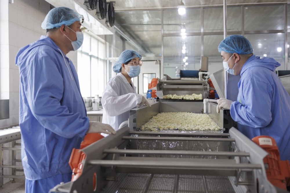 北京密云：采后技術(shù)助力鮮切凈菜降損增效