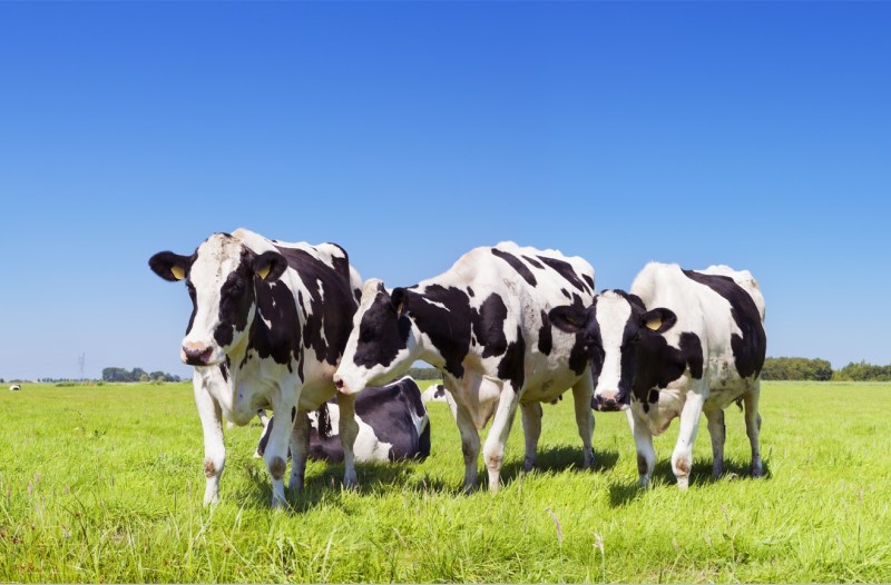 1714371128582880.jpg 圖片3.jpg