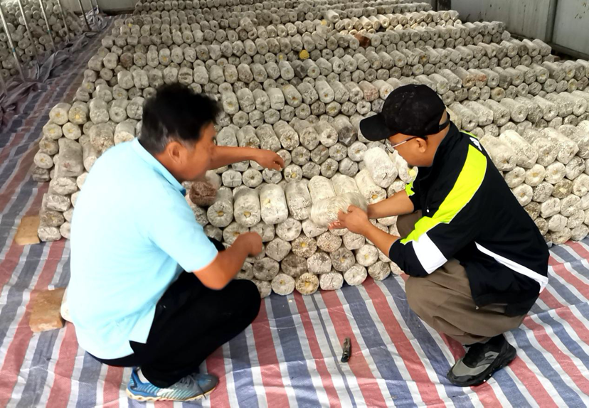 1714618354269791.png image.png