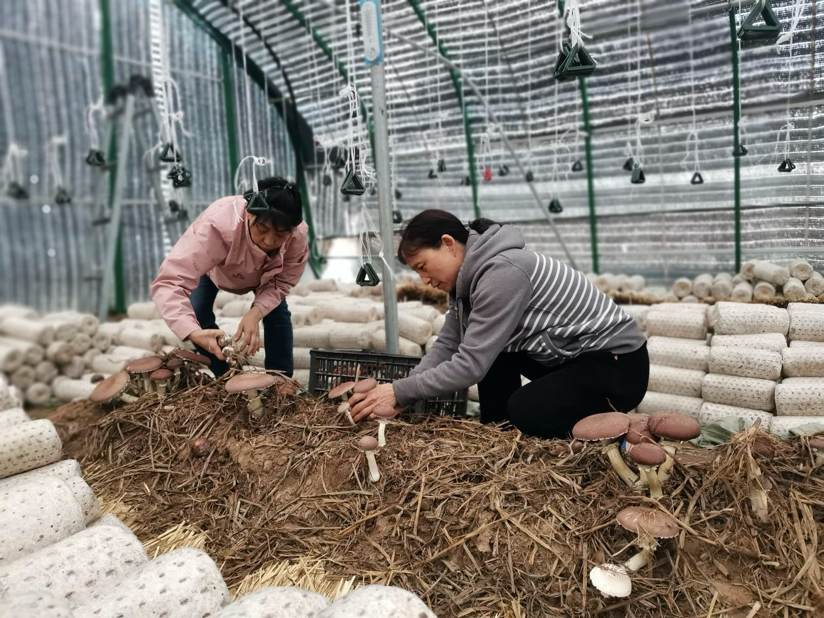 1714618400599397.png image.png