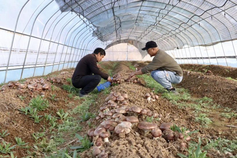 1714618465272415.png image.png